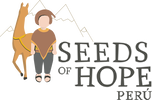 SEEDS OF HOPE, PERU ENRICHING THE LIVES OF CHILDREN IN HUARAZ